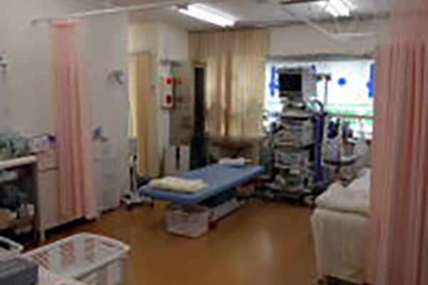 �@���̗l�q1