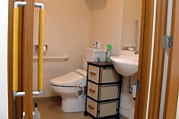 �@���̗l�q